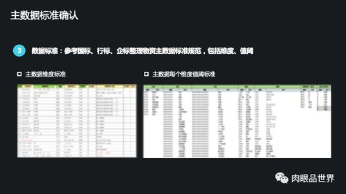 集團(tuán)數(shù)據(jù)管控與數(shù)據(jù)治理解決方案 數(shù)據(jù)處理與存儲服務(wù)的整合