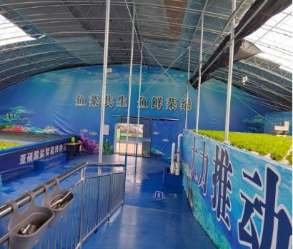 工廠化養蝦后，又一全新養蝦模式登場，每m2可產80斤蝦！業內人士 會是未來主流！